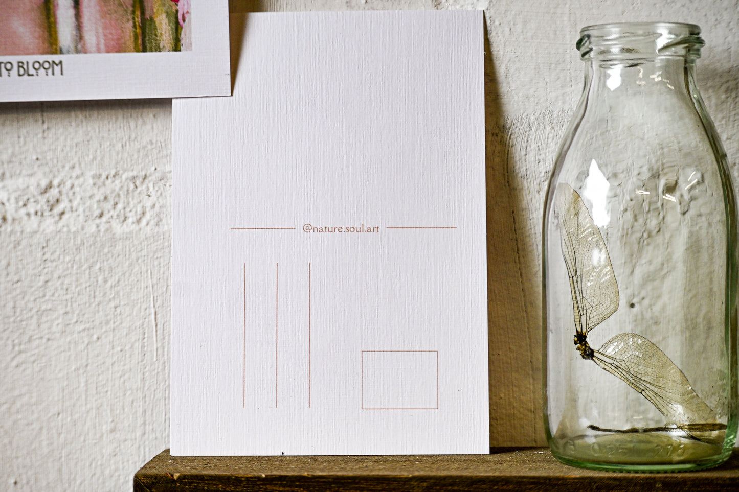 Postkarte Time to bloom